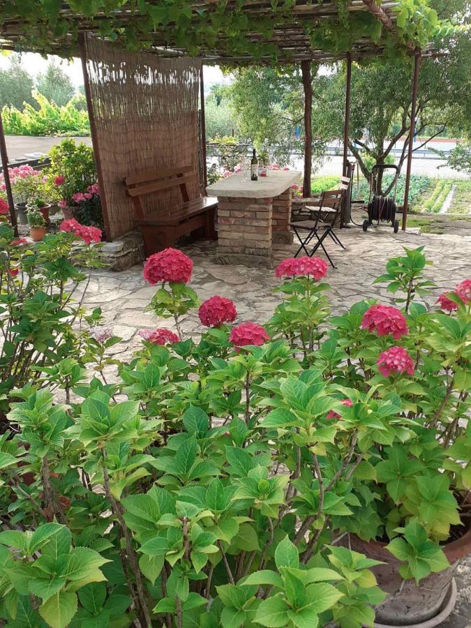 Apartma Fiorina Sečovlje Dış mekan fotoğraf